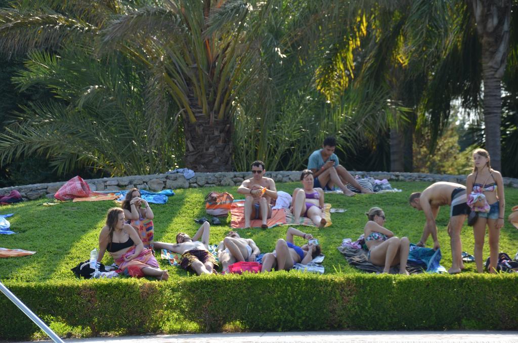 Happy Camp mobile homes in Camping Village La Masseria Gallipoli Esterno foto